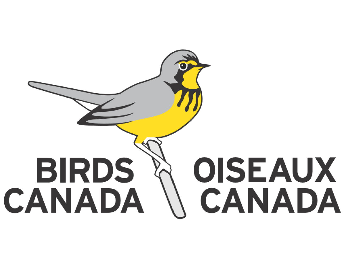 Logo du commanditaire Oiseaux Canada